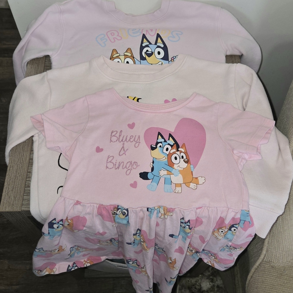 Lot of 3 Girls Size 4T/4 Bluey, Snoopy Sweatshirt Long Sleeve Pullover and Bluey